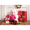 BEJOY Teddy Bear Stuffed Animals Plush Bear Holding Rose Soft Plush Toy Valentine's Day, 16 Inch, Pink