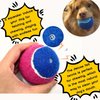 [CiaoPawS] 3 PCS Dog Tennis Balls Squeaky Dog Balls Dog Toys : Fetch Fun for Medium Size, 3 Balls Pack (2.5Inch) (M 3 PCS)