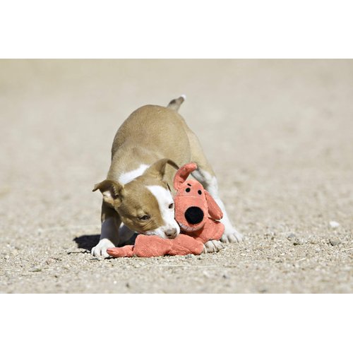 Multipet International Original Loofa Dog Mini 6-Inch Dog Toy (Assorted colors)