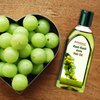 Patanjali Amla Hair Oil 100ml / 3.38 fl oz