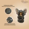 Parcelona French Plume Tortoise Shell Small Celluloid Jaw Hair Claw Clip Clamp Clutcher- 2 inches