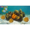 NATURAL SEA SPONGES Natural Sea Sponge for Bath and Shower for Adults Children and Baby