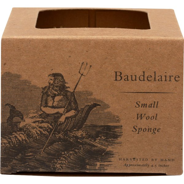 Baudelaire, Sea Sponge Caribbean Wool 4.5 in, 1 Count