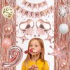9th Rose Gold Birthday Party Decorations for Girls, Rose Gold Happy Birthday Banner, Fringe Curtains, Heart Foil Balloons, Crown Balloons for Girls' 9th Birthday Decorations