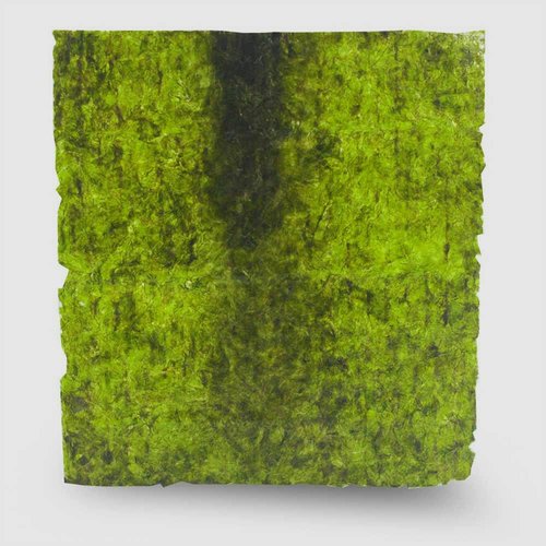 San Francisco Bay Brand Green Seaweed Salad Dried Marine Algae Bulk (0.4 Ounce 16 Mini Sheets) Aquarium Fish Food for Saltwater Marine & Freshwater | Seaweed for All Algae Eater Grazers