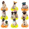 9 PCS Pug Honeycomb Centerpieces Table Decorations Pug Table Centerpieces for Pug Dog Party Supplies Birthday Party Decorations