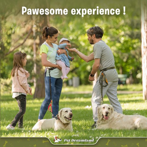 Exquisite Adjustable Hands Free Dog Leash for Small Dogs | Waist Leash for Dog Walking | Dog Running Leash | Hiking Leash for Medium Dogs | Service Dog Leash Belt | Dog Walking Accessories