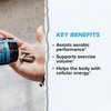 ONNIT Cognitive & Endurance Support Bundle: Alpha Brain Nootropic Capsules (30 Count) + Shroom Tech Sport Exercise Support Capsules (28 Count), IGEN Non-GMO Tested Focus, Energy & Endurance, 2 Pack