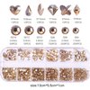 BELICEY Nail Rhinestones Kit 800PCS Multi-Shape Rhinestones for Nail Crystals Decoration Nail Hearts Butterfly Charm Nail Dimond Gems Stone for Nail Art Jewels DIY Crafts Clothing (Gold)