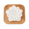 Plant Therapy Passive Lotus Flower Aromatherapy Diffuser - A Chic and Natural Home, Office, and Travel Essential Oil Diffuser