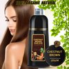 Hair Dye Shampoo 3 in 1, Herbal Shampoo Hair Dye for Women Men, Grey Coverage Shampoo 16.9fl oz (Chestnut Brown)