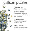 Galison Best in Show – Michael Driver 1000 Piece Puzzle Featuring A Witty Shelfie of Felines and Canines Sharing Trophies and Books