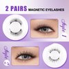 Magnetic Eyelashes with Applicator No Glue Reusable Magnetic Lashes Natural Lightweight Soft Magnetic Eyelash Wispy Easy to Use,2 Pairs of 2 Styles by Wendy Lashes(079/B01)