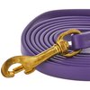 J&J Dog Supplies Biothane Dog Leash, 1/2" Wide by 6' Long, Purple