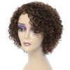 Kinky Curly Short Wigs for Black Women Human Hair Chocolate Brown Mix Medium Auburn