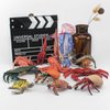 Sea Ocean Marine Animal Model Playsets 13 PCS Octopus Squid Crab Shrimp Hermit Crab Sea Turtle Action Figure Desktop Decoration Collection Party Favors Toys for Boys Girls Kids 5 6 7 8 Year Old