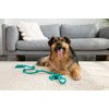 Tumbo Tough Tug Rope Dog Toy - (5 ft Long Strong and Durable Rope Pull Toy with Handle) TUG of WAR Dog Toy (Bahama Blue)
