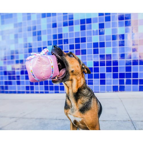 Multipet Birthday Present Dog Toy, Pink, 5.5"