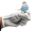 alfyng Bird Training Anti-Bite Gloves, Parrot Chewing Protective Gloves, Small Animal Handling Gloves for Parrotlets Cockatiels Finch Macaw (1 Pair White)