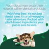 Vet’s Best Enzymatic Dog Toothpaste | Teeth Cleaning and Fresh Breath Dental Care Gel | Vet Formulated | 3.5 Ounces | Grape flavor