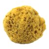 100% Natural Sea Sponge 5-6" by Spa Destinations"Creating The In Home Spa Experience" For the Perfect Bath or Shower Experience. …