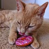 Huxley & Ket Plush Cat Toy | Strawberry Donut | Strong Catnip Filled Cat Toy | Plush Interactive Kitten and Cat Toy with Catnip and Crinkle | Kittybelles