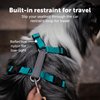 PetSafe 3 in 1 Dog Harness - No Pull Solution for Dogs - Reflective Dog Harness - Front D-Ring Clip Helps Stop Pulling - Comfortable Padded Straps - Top Handle Enhances Control - Teal - Medium