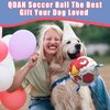 QDAN Dog Toys Soccer Ball with Straps, Outdoor Dog Toys, Puppy Birthday Gifts, Dog Water Toy, Durable Dog Balls for Small Medium Dog (6 Inch)