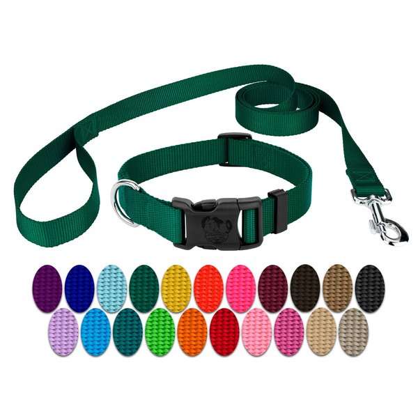 Country Brook Petz - Vibrant 25+ Color Selection - Deluxe Nylon Dog Collar and Leash (Small, 3/4 Inch Wide, Green)