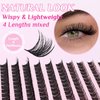 SLSXNL Natural Wispy Lash Clusters 9-14MM D Curl Cluster Eyelash Extensions Soft Eyelash Clusters,9mm 10mm 12mm 14mm False Eyelashes 120pcs Lash Clusters