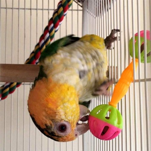 YuanHolumid 2Pcs Multicolour Bird Parrot Toy Rattle Birds Fun Exercise Plastic Double-Headed Bell Pet Toys Small and Medium Birds Foraging Foot Toy,Bird Toys, Pet Supplies