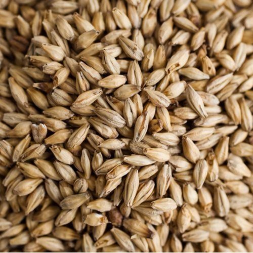Weyermann Floor Malted Bohemian Pilsner Malt Home Brewing Malt Whole Grain 1lb Bag