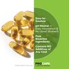 ANDREW LESSMAN Algal DHA 250mg 60 Softgels - Plant-Based Omega-3 Oils, Natural Marine Algae, High DHA, Non-GMO, High Potency, No Stomach Upset, No Fishy Aftertaste. Small Easy to Swallow Softgels