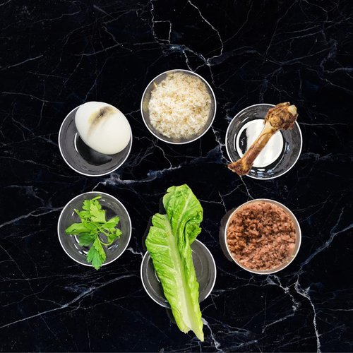 Rite Lite Passover Seder Plate Liners - Acrylic Set of 6 - Stylish & Elegant Pesach Seder Dish Liners Jewish Holiday Party Decorations Passover Gifts Pesach Haggadah Hostess Table Décor