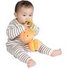 Eating the Alphabet Baby Gift Set includes Board Book by Lois Ehlert, Lemon and Orange Infant Travel Toys With Rattle, Squeaker, Crinkle Fabric, Teether Clip & Bag (Sensory Developmental Learning Toy)