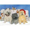 Pipsqueak Cairn Terrier Christmas Cards : 10 Holiday Cards with Red Envelopes - ADORABLE!