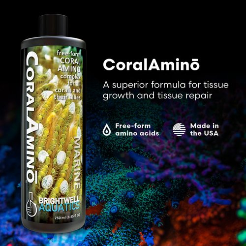Brightwell Aquatics CoralAmino - Complex of Amino Acids for Corals - Coral Food for Aquarium Coral Growth - Saltwater Aquarium Treatments, 8.45 fl oz