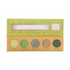 Profusion Cosmetics Blooming Beauty 5-Shade Eyeshadow Palette - Highly Pigmented Eyeshadows for Stunning Day & Night Looks (Wilderness Explorer)