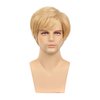 Dai Cloud Mens Blonde Wigs Short Curly Layered Cosplay Costume Party Wigs for Male Guy(Blonde)
