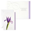 Hallmark Assorted Sympathy Cards (Flowers, 12 Cards and Envelopes)