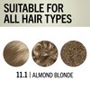 Schwarzkopf Keratin Blonde Hair Dye Almond Blonde 11.1, Hi-Lift Permanent Color, 1 Application - Hair Color Enriched with Keratin, Lightens up to 4 Levels and Protects Hair from Breakage*