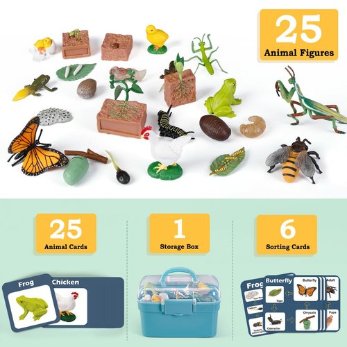 Life Cycle Learning Toys for Kids: Life Science Education Kits with Butterfly, Frog, Chicken, Mantis, Bee, Plants - 25 Pieces Animal Figurines Montessori Toys for Children Age 3 4 5 6 7 8+