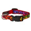 Xsmall Rainbow Leopard Dog Collar: 1/2" wide, Adjusts 6-12" - Made in USA.