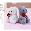 Ruzucoda Plush Teddy Bear with Rose Stuffed Animals Toys Dolls Valentine's Day Gifts for Girls Girlfriend Lover 9 Inches (Brown)