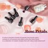 Beetles Red Gel Nail Polish Set - Peach Pink Skin Tone Gel Polish Kit Burgundy Red Nail Gel Polish Soak Off Nail Uv Lamp Gel Nail Kit Nail Art Design Gifts for Women