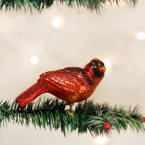 Old World Christmas Ornaments: Bird Watcher Collection Glass Blown Ornaments for Christmas Tree, Resting Cardinal