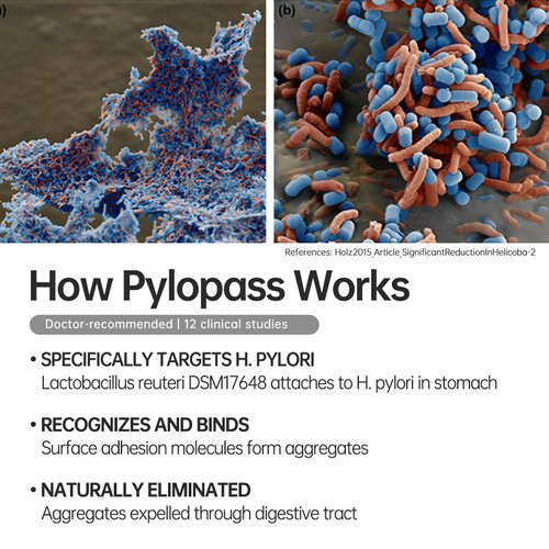 purmeo 5 in 1 High Potency H. Pylori Treatment Probiotics - Gastritis Support - 1 Per Day - Pylopass Lactobacillus Reuteri DSM17648 - No Refrigeration Needed - Made in Germany
