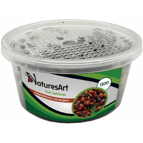NaturesArt 1500 Live Ladybugs - Good Bugs for Garden - Ladybug Guaranteed Live Delivery* - Plastic Box, Container, Case.