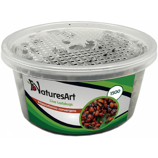 NaturesArt 1500 Live Ladybugs - Good Bugs for Garden - Ladybug Guaranteed Live Delivery* - Plastic Box, Container, Case.