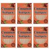 600 Picks Cinnamon Flavored Toothpicks Bulk Cinnamon Toothpicks for Adults Oral Hygiene Teeth Dental Care, Cinnamon Flavor, 6 Pack